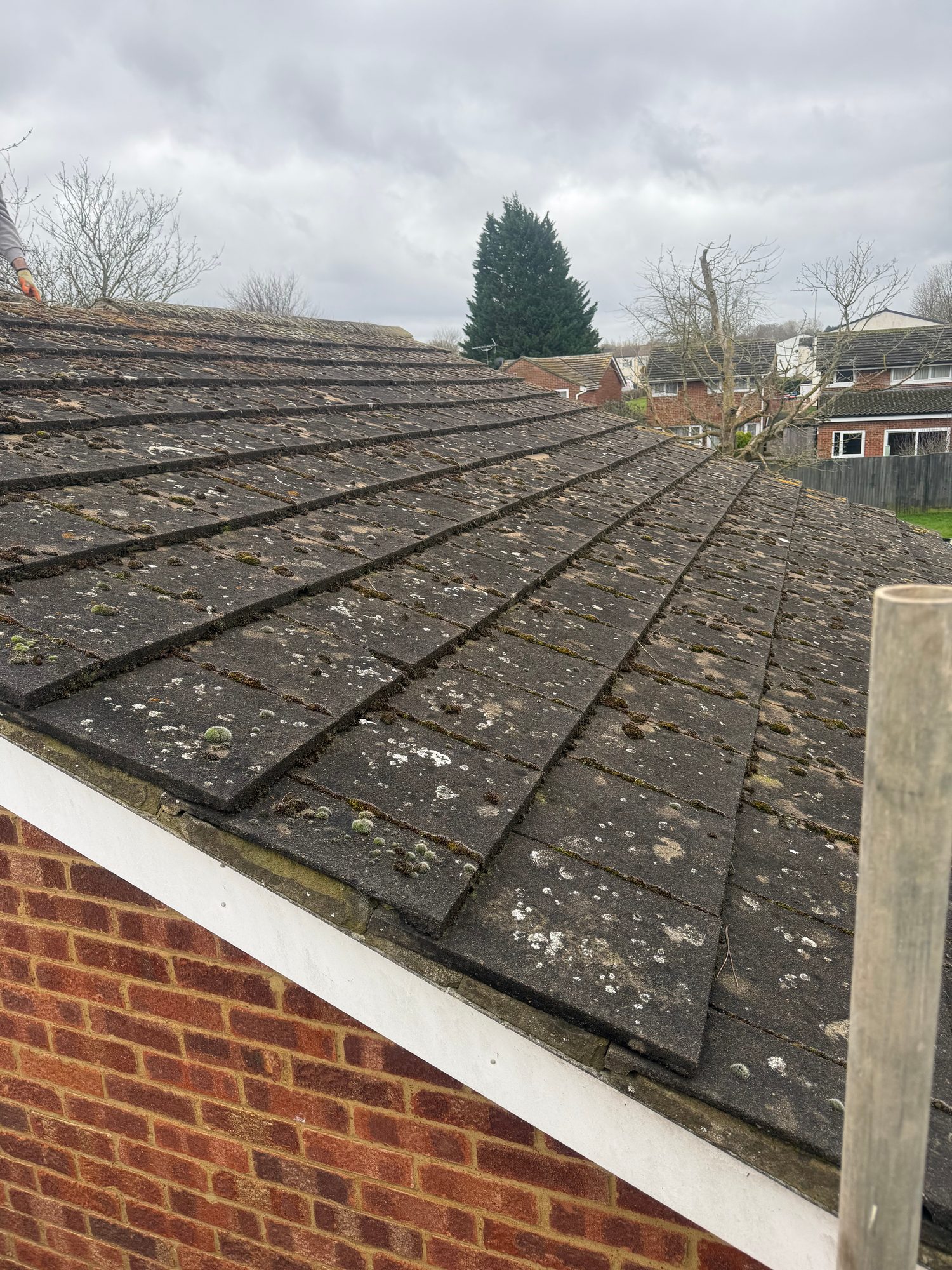 Pitched roof with rows of dark tiles covered in visible moss, lichen and weathering, with brickwork, scaffolding and neighbouring houses visible around the roof