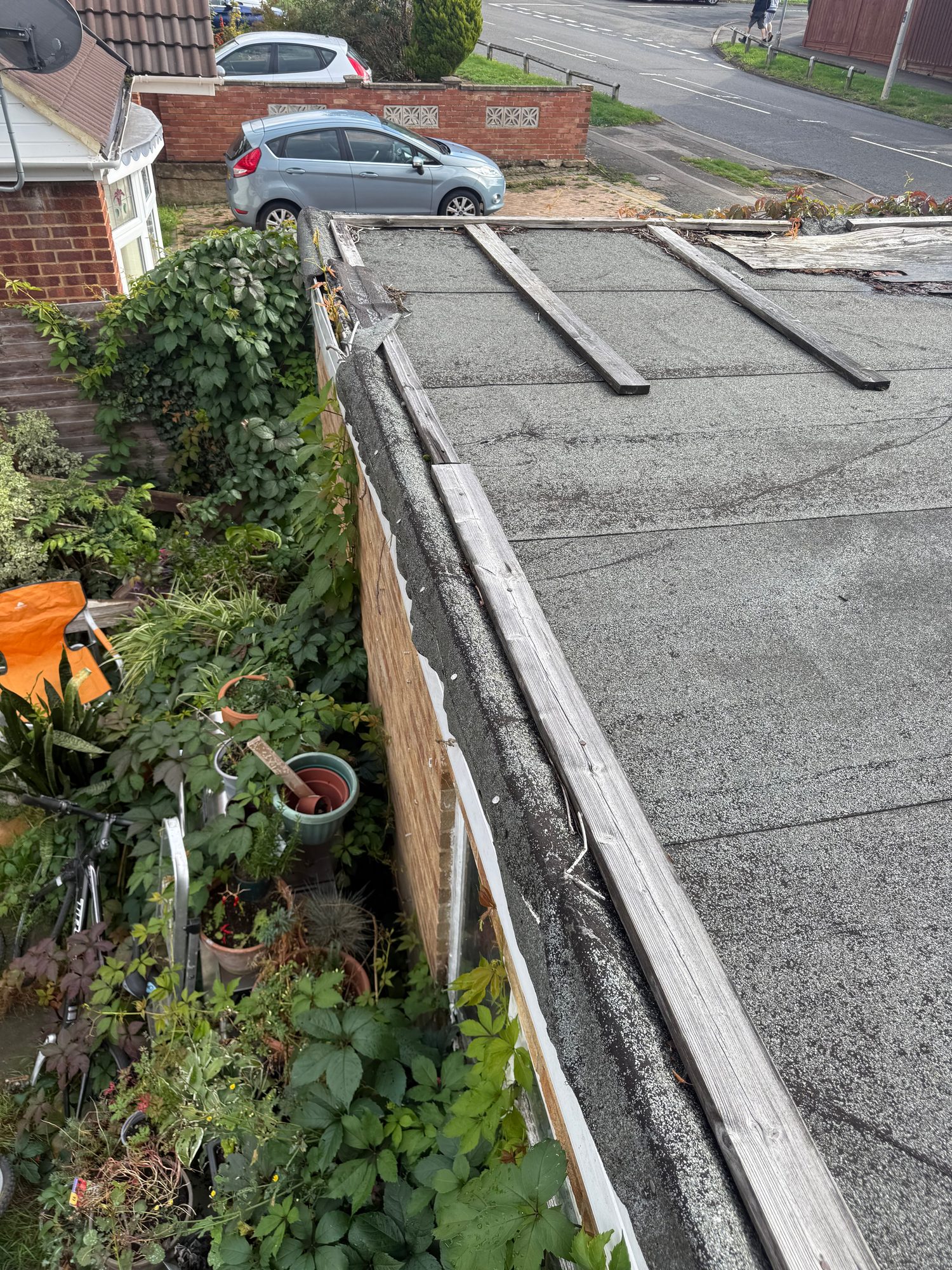 Close view of the flat roof with weathered roofing felt, aged timber battens and vegetation along the roof edge